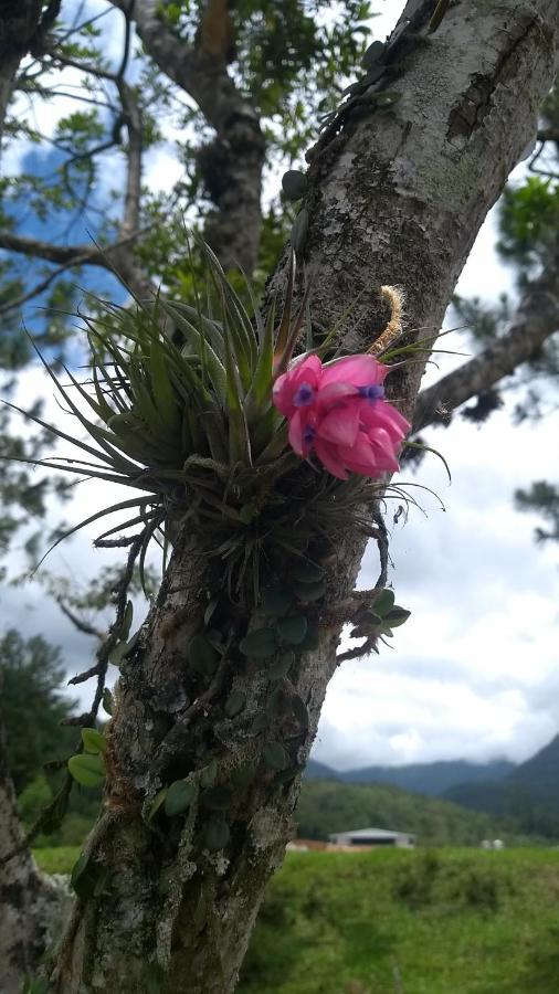 Hostel E Pousada Vale Mirante Da Rocha Timbe do Sul المظهر الخارجي الصورة
